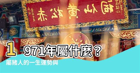 1971屬豬幸運數字|【1971屬豬幸運數字】1971屬豬幸運數字：解開豬年財運的秘。